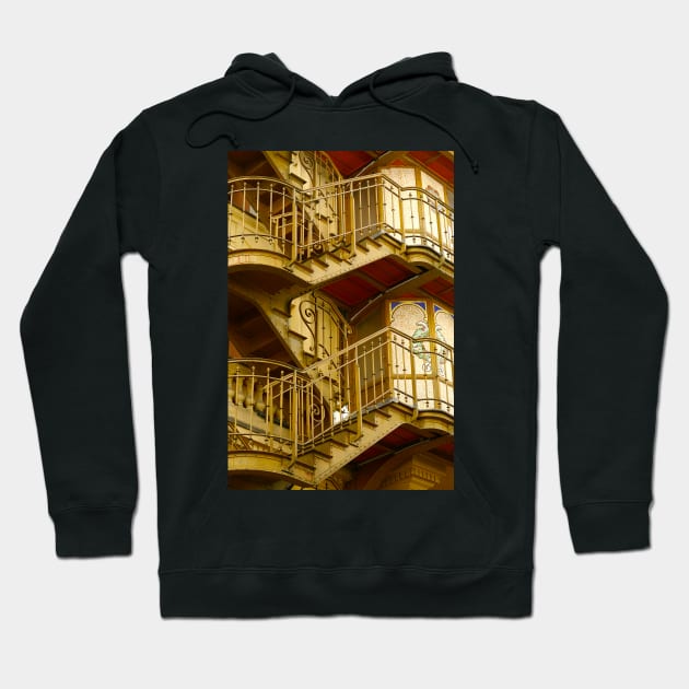 Up And Up In Paris Hoodie by AlexaZari